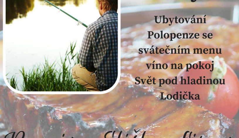 Penzion Eliška Horní Planá